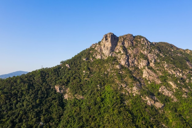 montanha de pedra do leão