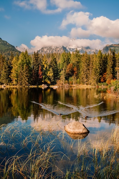 Montanha do outono e lago strbske pleso em tatras altas, eslováquia