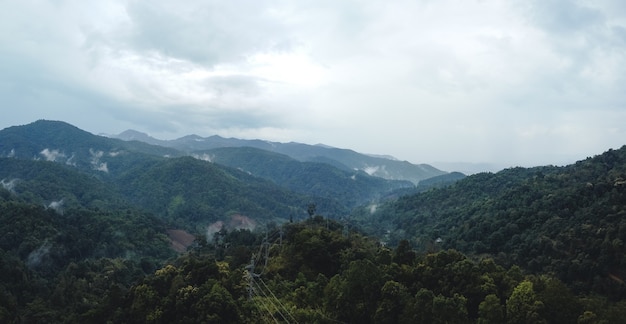 Montanha e árvore no verão Viagem pela natureza