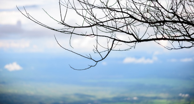 Foto montanha e névoa em phu thap boek, província de phetchabun