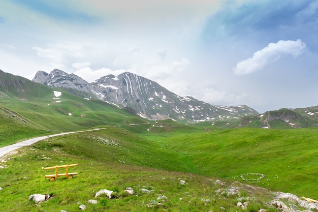 Montanha e paisagem verde de Montenegro