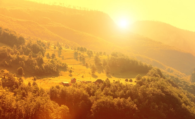 Montanha e paisagem verde de montenegro