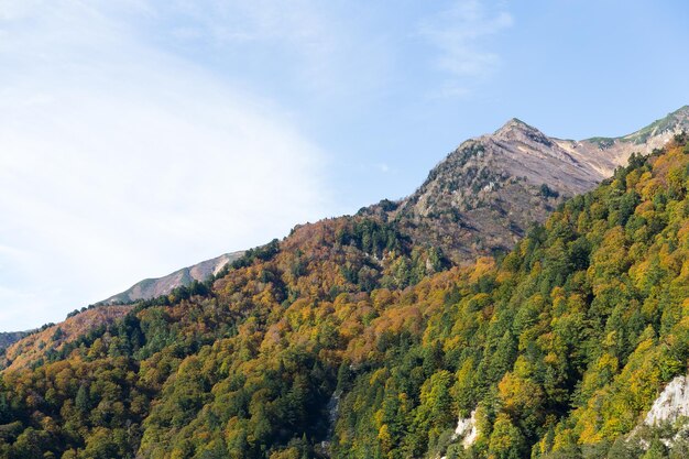 Montanha em Tateyama