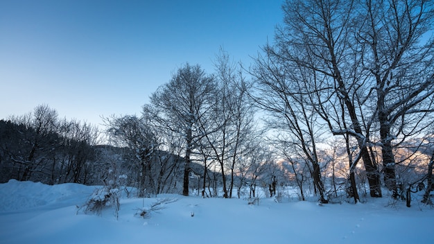 Montanha exótica com paisagem de inverno