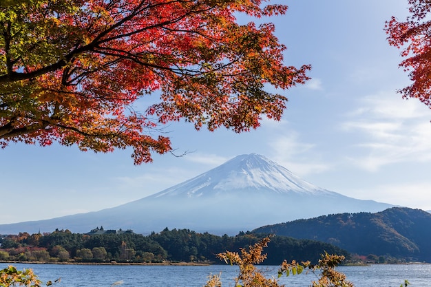 Montanha Fuji e bordo no outono