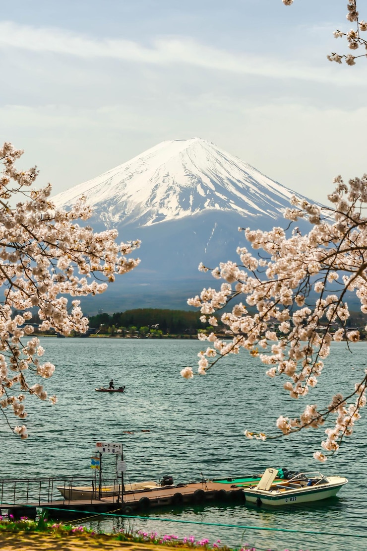 Foto montanha fuji e flor alegre em plena floração no lago kawaguchiko, japão