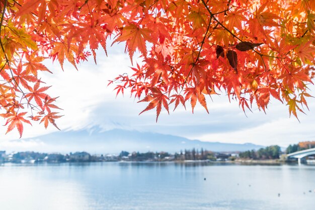 Montanha fuji san com nublado