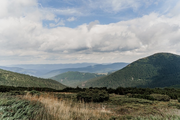 Montanha hoverla com nevoeiro e chuva