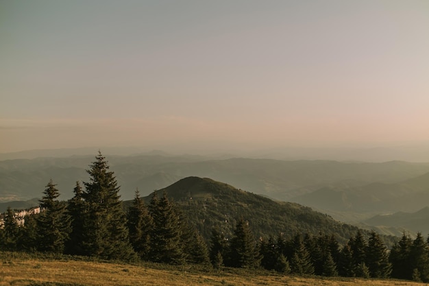 Montanha kopaonik na sérvia