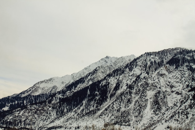 Montanha neve, em, kalam, swat, paisagem paisagem