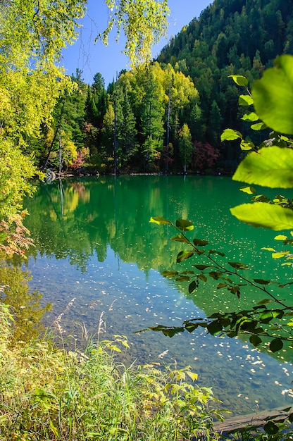 Montanha outono verde sibéria lago com reflexão