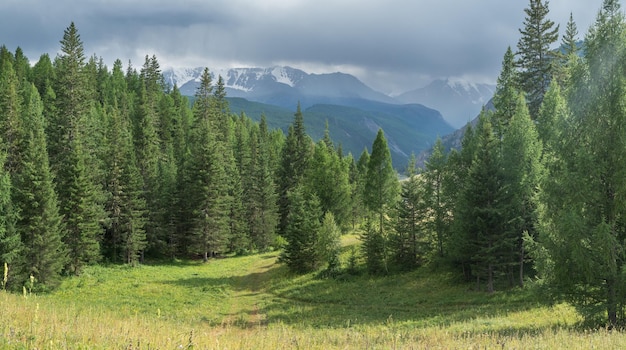 Montanha paisagem floresta e montanhas tempo nublado