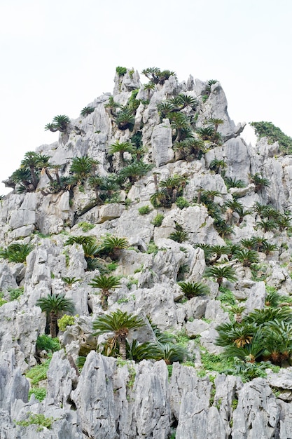 Montanha rochosa antiga e céu azul no parque Dai Sekirinzan, Okinawa, Japão