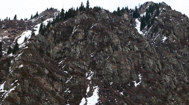 Montanha rochosa com árvores e neve