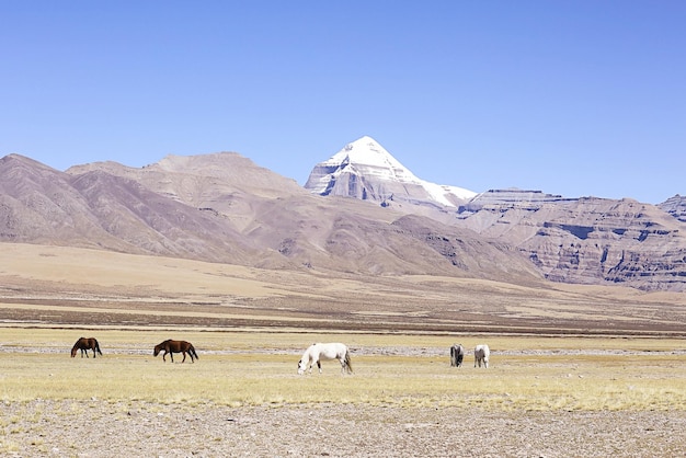 Montanha Sagrada Kailas