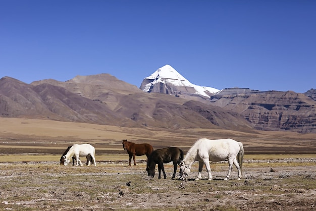 Montanha Sagrada Kailas