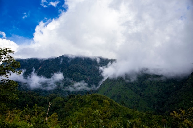 Foto montanha verde com nevoeiro e céu azul