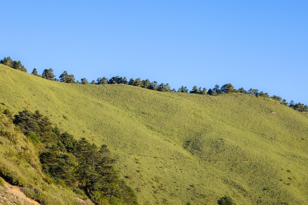 Foto montanha verde com o céu azul