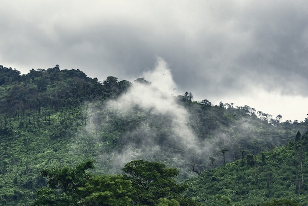 Montanha verde na nuvem e nevoeiro