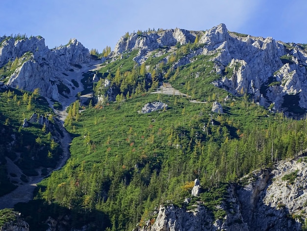 Foto montanha verde