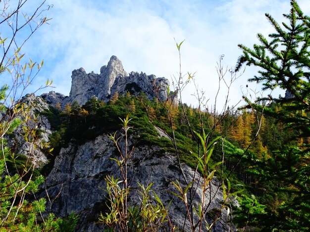 Foto montanha