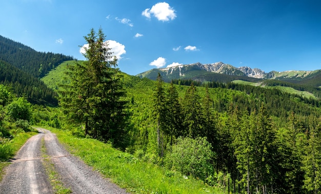 Montanhas baixas de Tatras do vale de Janska Eslováquia