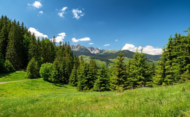 Montanhas baixas de Tatras do vale de Janska Eslováquia