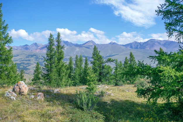 Montanhas. Bela paisagem com árvores e montanhas em dia de verão.