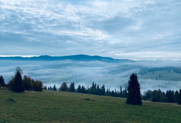 Foto montanhas beskidy wysoka