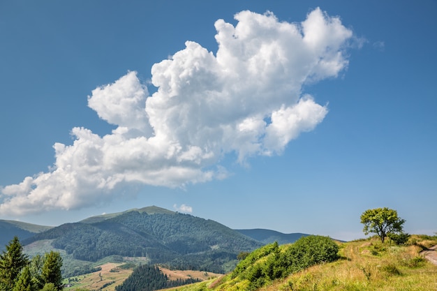 Montanhas carpathian