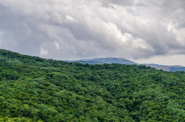 Montanhas cobertas de floresta no fundo das nuvens.