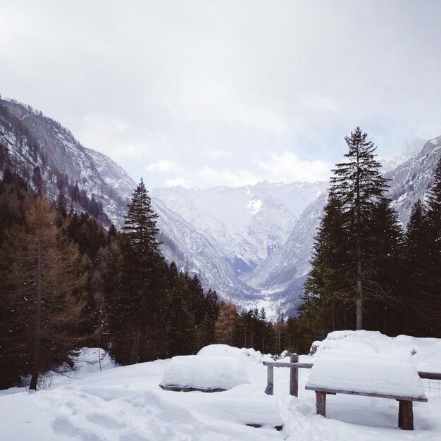 Foto montanhas cobertas de neve contra o céu