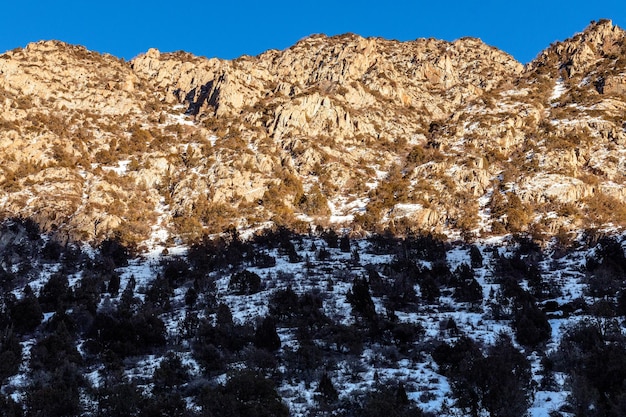 Montanhas cobertas de neve e pinheiros no parque de inverno