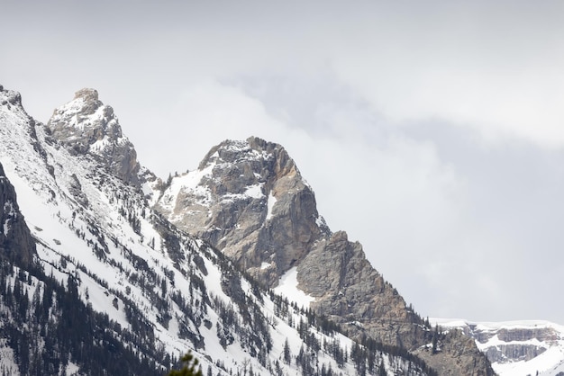 Montanhas cobertas de neve na temporada de primavera da paisagem americana