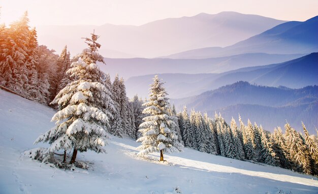 Montanhas cobertas de neve