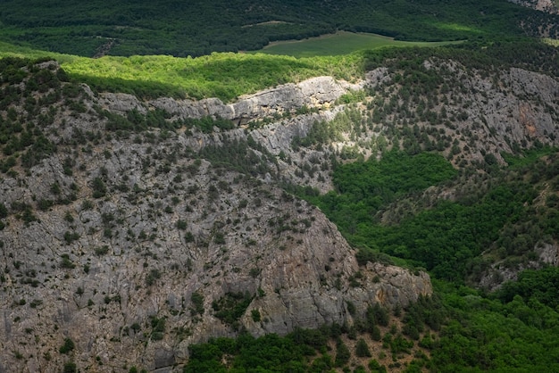 Montanhas cobertas por uma jovem floresta verde em tempo nublado na primavera