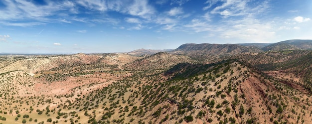 Montanhas com árvores de argão em Marrocos
