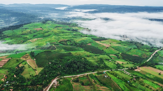 Montanhas com árvores e neblina na tailândia