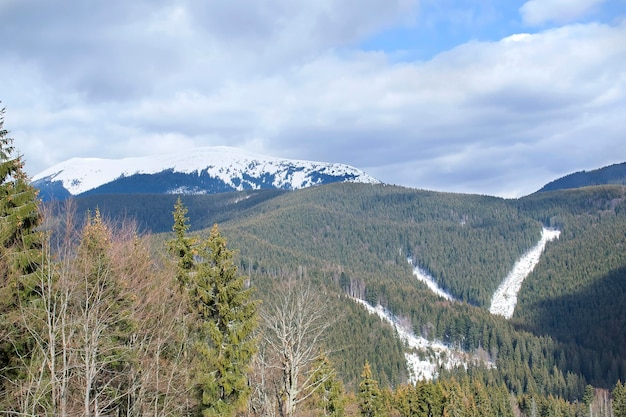 Montanhas com faixas de céu e floresta de pinheiros de inverno nevado na bela paisagem nublada nublada, esporte radical, caminhadas.