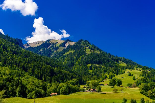 Montanhas com floresta de prados e céu azul em Darstetten FrutigenNiedersimmental Bern Suíça