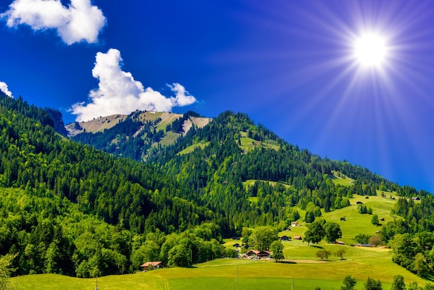 Montanhas com floresta de prados e céu azul em Darstetten FrutigenNiedersimmental Bern Suíça