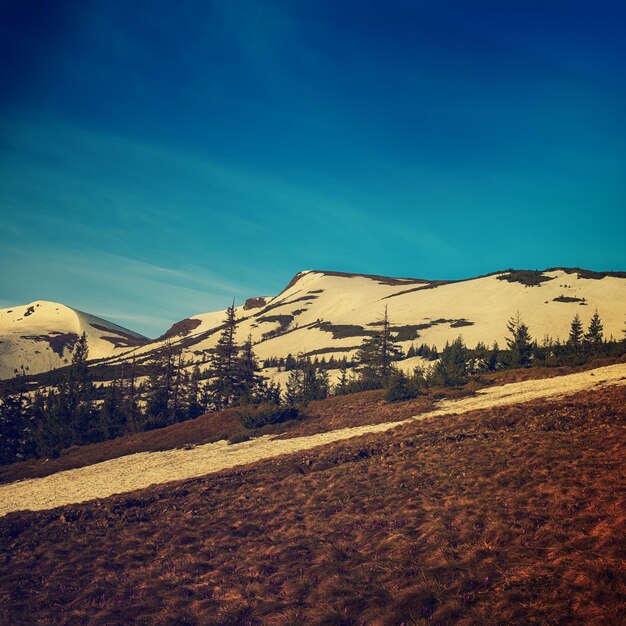 Montanhas com neve