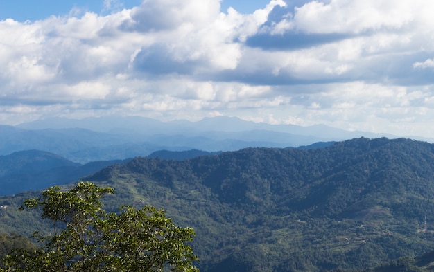 Montanhas com selva e céu nublado no parque nacional