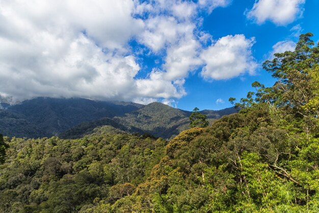 montanhas com selva e céu nublado