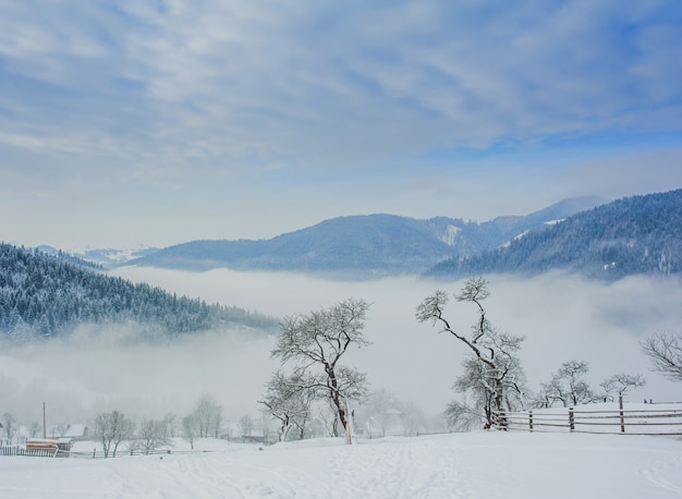 Montanhas de inverno dos Cárpatos