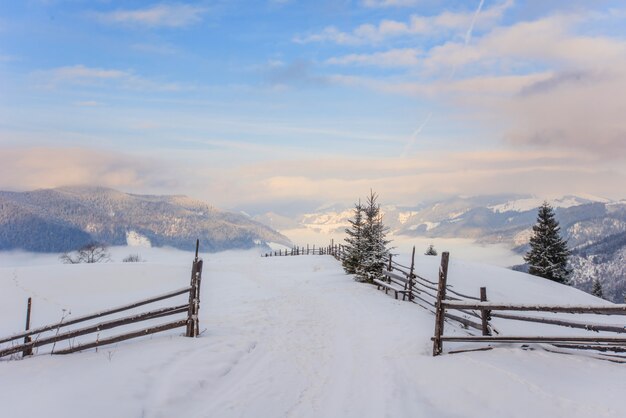 Montanhas de inverno dos Cárpatos