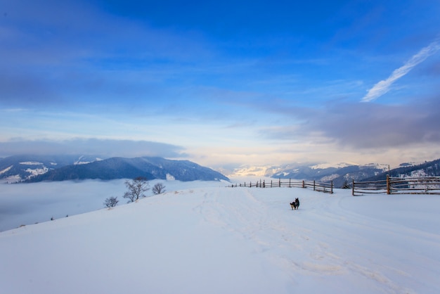 Montanhas de inverno dos Cárpatos