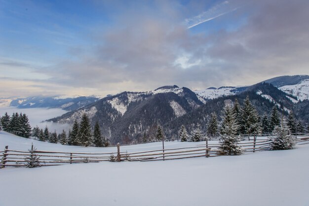 Montanhas de inverno dos cárpatos