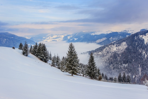 Montanhas de inverno dos Cárpatos