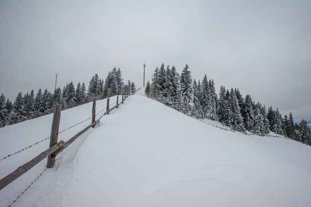 Montanhas de inverno dos cárpatos